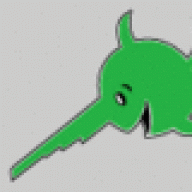 Kiwi Phil