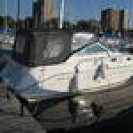 Taylor31