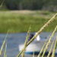 lac8362