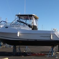 Johne230