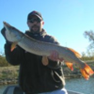 Browndog10