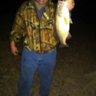 88evinrude