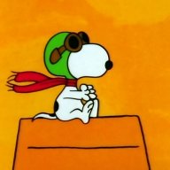 electric_beagle