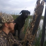 Duckdog91