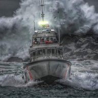 The Nauti Dog