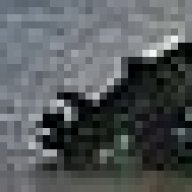 smaki