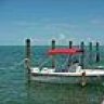 Folly77