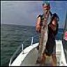 likefish
