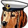 Doggonitt