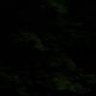 SC64