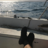 shermanator83