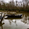 Muddybayou