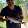Cobia177