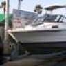 BajaFishin