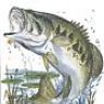 bass buster