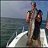 likefish