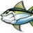 dan the tuna