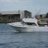 Moggy23