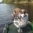 stevo10081984