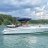 Cobalt226