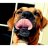 gravytrain_78