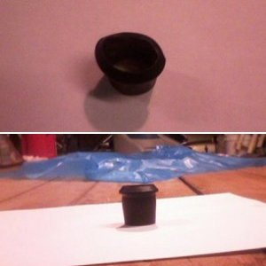 seal