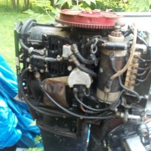 Picture 007