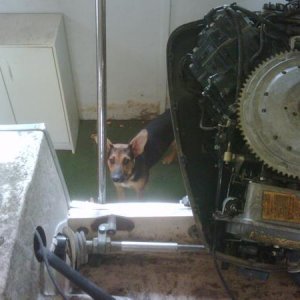 Glastron 14