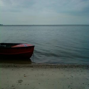 woodtick island