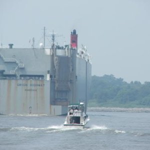 IMG_0534.jpeg