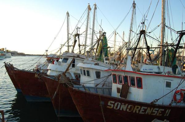 barcos