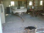 glastron 12