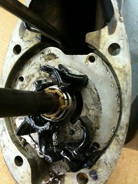 Impeller.  Not looking like new 
4-19-2010