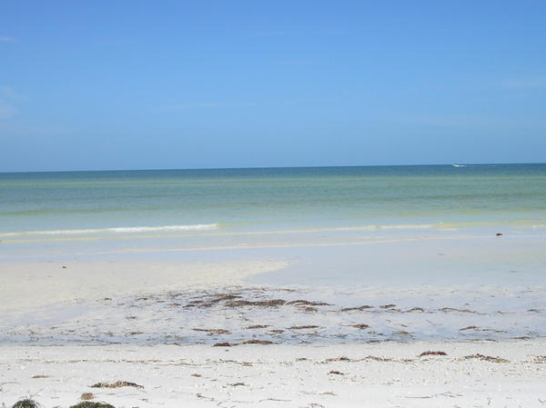 Scenery at anlecote island.