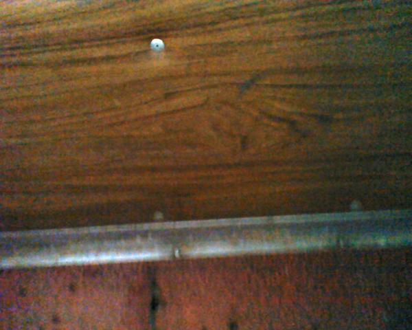 sidewall